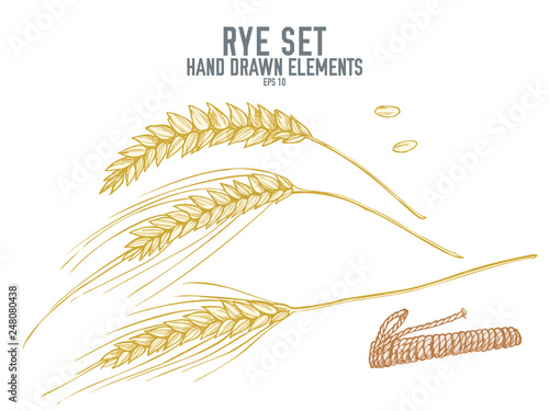 Vector collection of hand drawn pastel rye