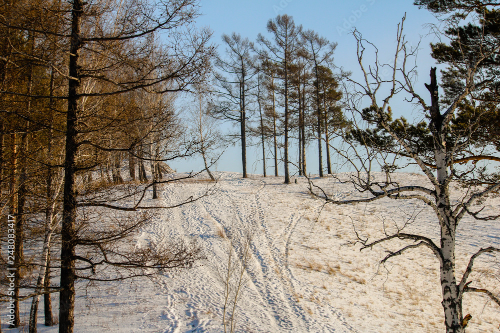 Fototapeta premium Nature Reserve Stolby