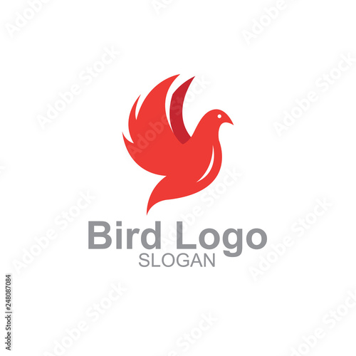 Minimalist Bird illustration logo