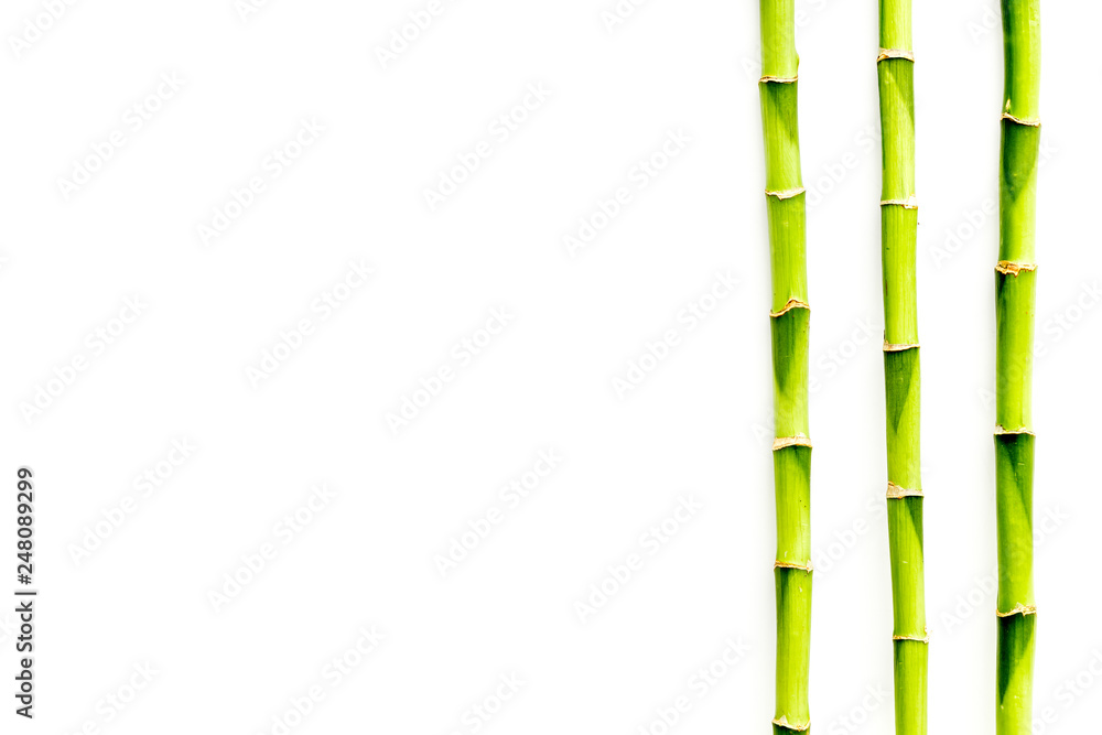 Asian background. Green bamboo branches on white wooden background top view space for text Asian background. Green bamboo branches on white wooden background top view space for text