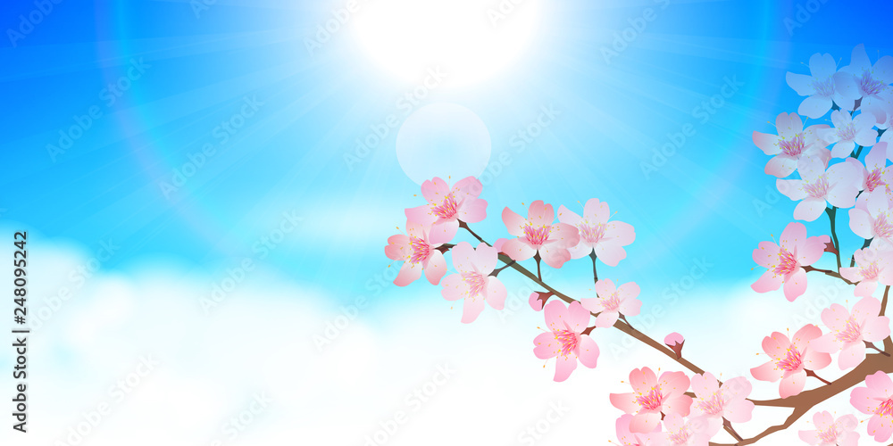 桜　春　花　背景 