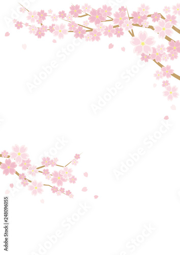 桜のある春の風景のイラスト(白背景)