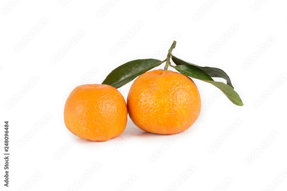 Pair of mandarins on white background with leaves Pair of mandarins on white background with leaves