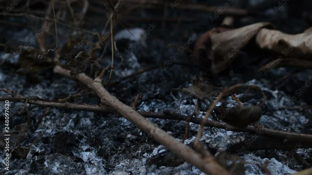 Heat ash and smoke from bornfire. Heat accumulated with global warming. Or we are the cause of this problem Heat ash and smoke from bornfire. Heat accumulated with global warming. Or we are the cause of this problem