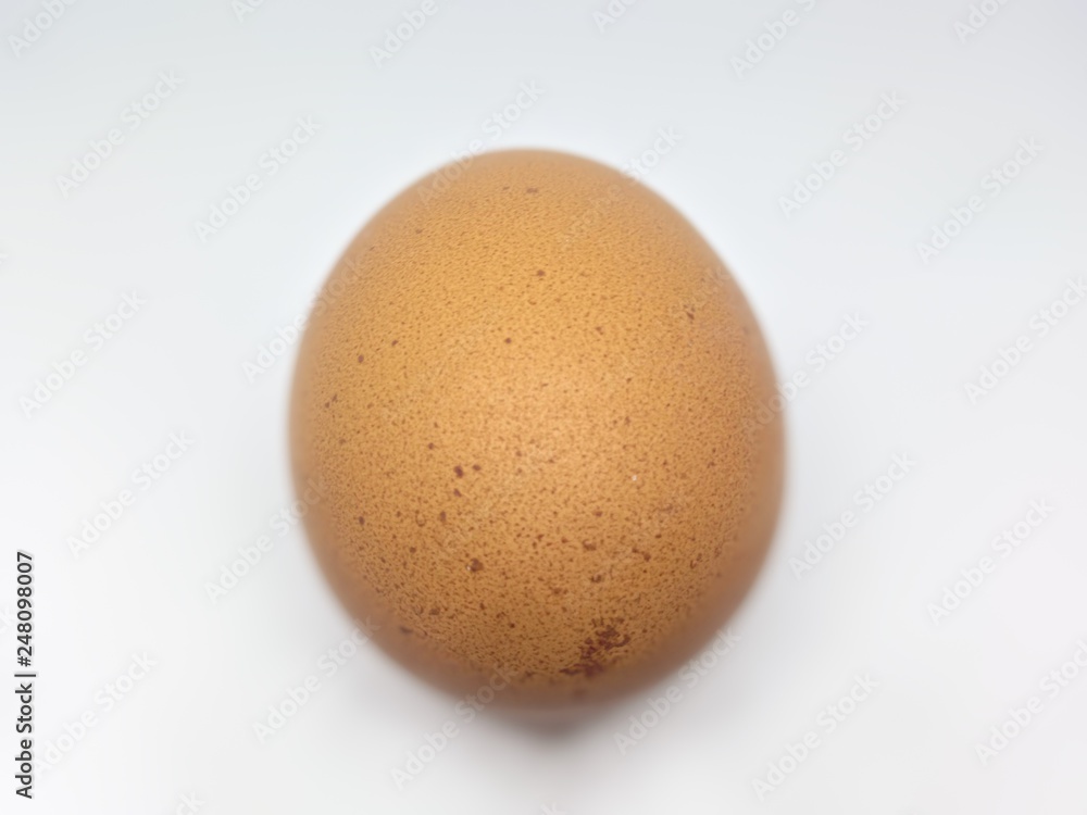 chicken egg isolated on white background chicken egg isolated on white background