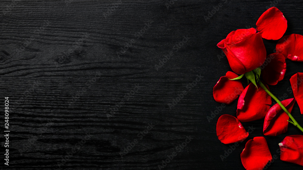 Valentine's Day. Red Rose and Petals on Modern Black Wooden Background. Flowers composition. Valentines Day Background. Image