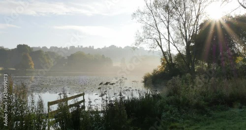 Autumn colors in Hardwick Park, Derbyshire, England, United Kingdom, Europe   photo