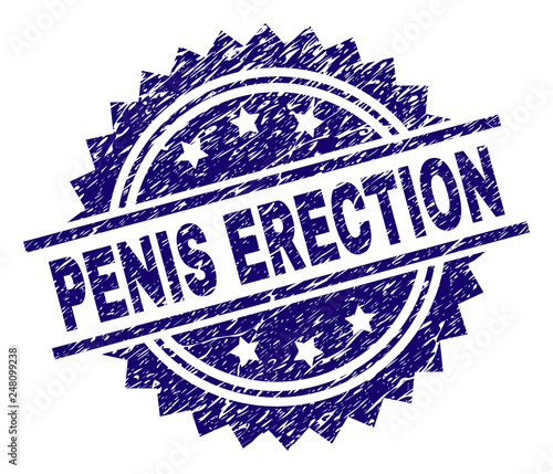 PENIS ERECTION stamp seal watermark with distress style. Blue vector rubber print of PENIS ERECTION label with corroded texture.