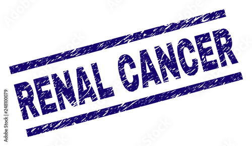 RENAL CANCER seal print with distress style. Blue vector rubber print of RENAL CANCER caption with grunge texture. Text label is placed between parallel lines.