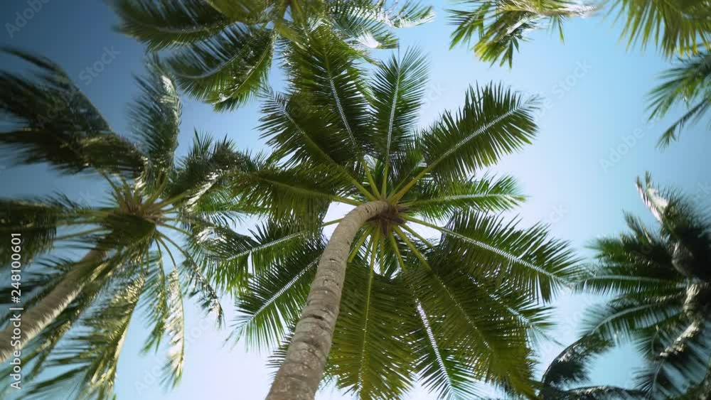 View of tropical Beach in the Maldives. View of tropical Beach in the Maldives.