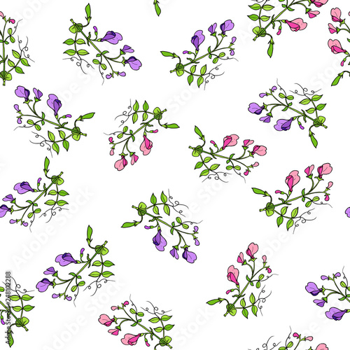Seamless pattern with sweet pea