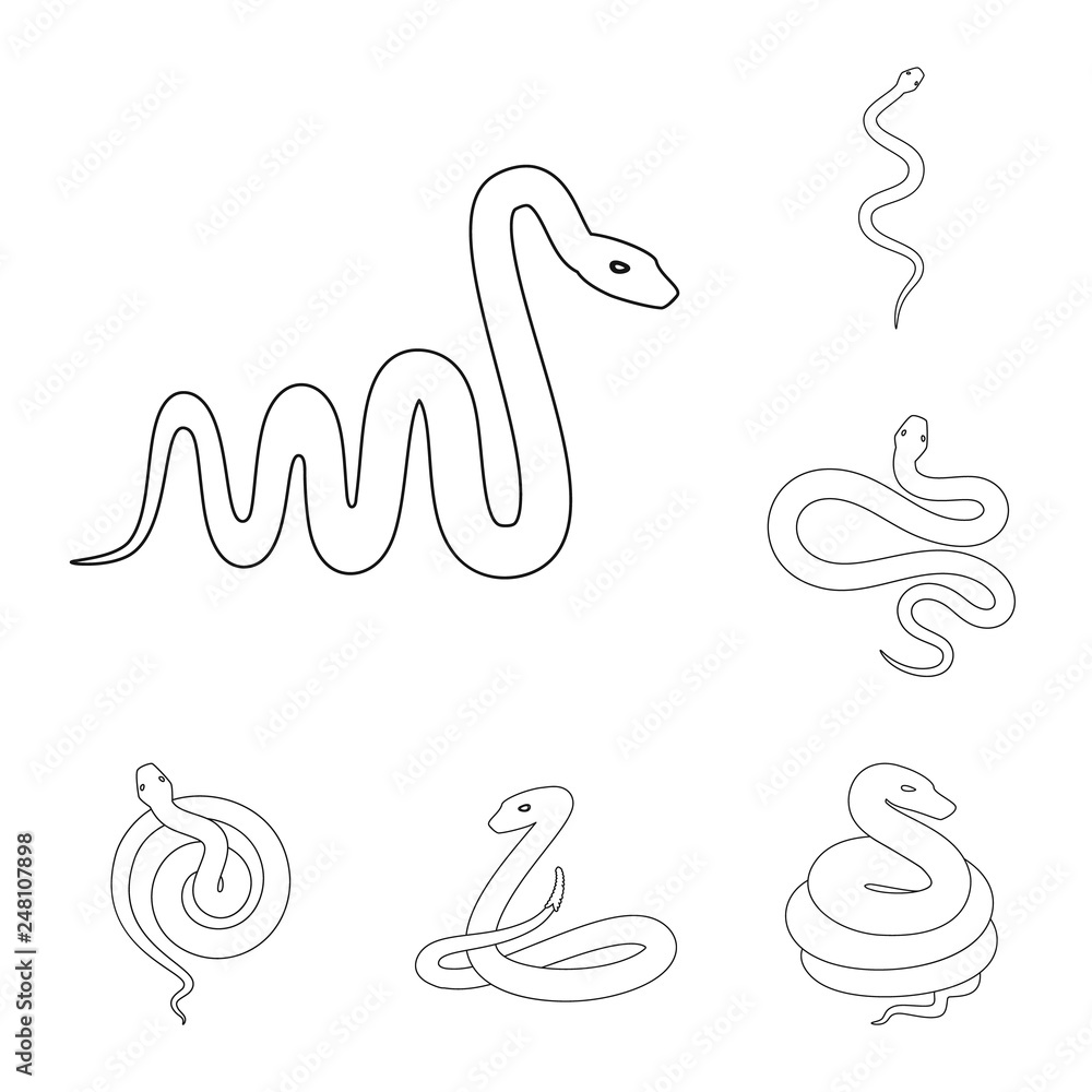 Fototapeta premium Isolated object of poison and evil sign. Set of poison and bite vector icon for stock.