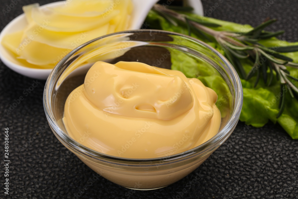 Cheese sauce in the bowl Cheese sauce in the bowl
