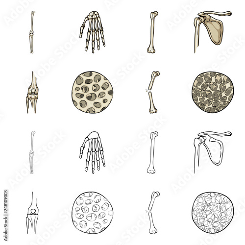 Isolated object of medicine and clinic icon. Collection of medicine and medical stock symbol for web.