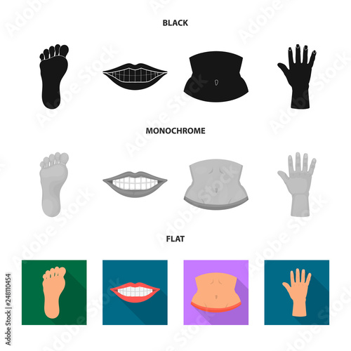 Vector illustration of body and part logo. Set of body and anatomy stock symbol for web.