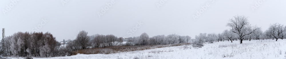 Panorama of winter landscape. Trees are covered with snow and frost. Panorama of winter landscape. Trees are covered with snow and frost.