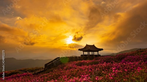 A beautiful sunset at Hwangmaesan Mountain where the azalea blossoms. Zoom in photo