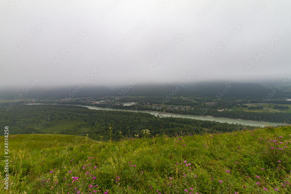 Fototapeta premium Altai mountains. Katun river.