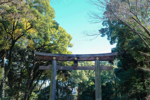 Wooden torii gate of Meiji Jingu Shrine in (Harajuku) Central Tokyo, Japan