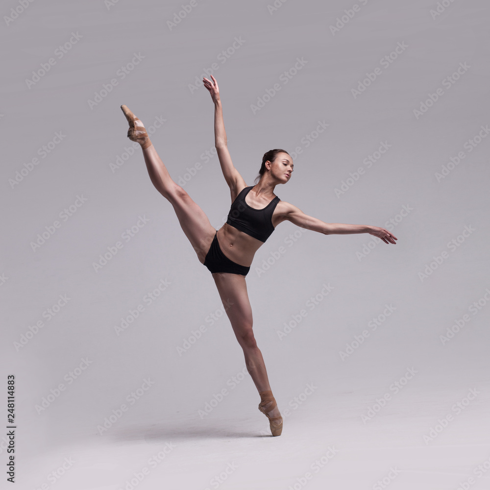 Beautiful Ballet Dancer Posing On Pointes.