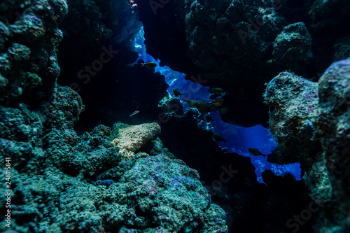 Caves of the Paradise reef at the Red Sea, Egypt