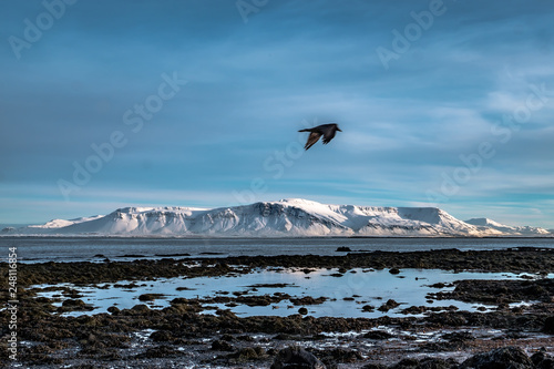 Island winterlandschaft  © rainer K