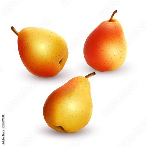 Set of fresh and yellow pears on a white background, ripe and realistic pears, vector illustration