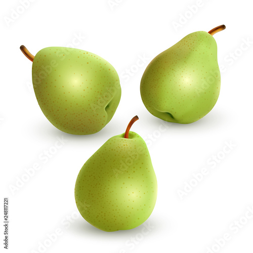Set of fresh and green pears on a white background, ripe and realistic pears, vector illustration