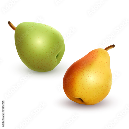 Set of pears different varieties of green and yellow colors, Realistic vector illustration on white background, 3D illustration for your design