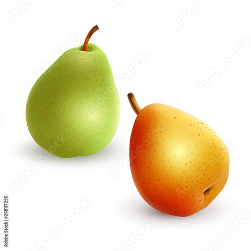 Set of pears different varieties of green and yellow colors, Realistic vector illustration on white background, 3D illustration for your design