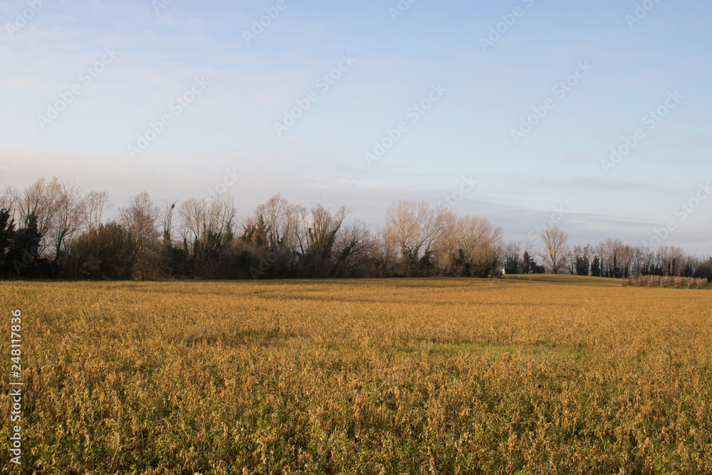 Italian landscape with blue sky