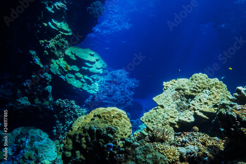 Fototapeta Naklejka Na Ścianę i Meble -  Caves of the Paradise reef at the Red Sea, Egypt