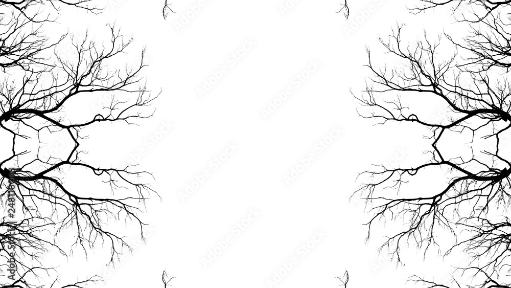 Bare tree branches on a pale white background