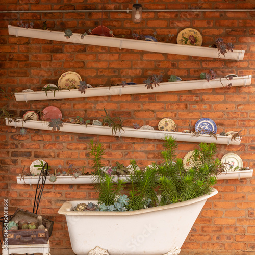 A wall garden of succulent plants.