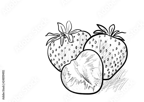 strawberry, food, berry, fruit, fresh, ripe, organic, sweet, tasty, juicy, red, dessert, leaf, green, delicious, natural, raw, half, slice, vector, illustration, vegetarian, health, nature, group, par