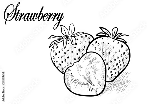 strawberry, food, berry, fruit, fresh, ripe, organic, sweet, tasty, juicy, red, dessert, leaf, green, delicious, natural, raw, half, slice, vector, illustration, vegetarian, health, nature, group, par