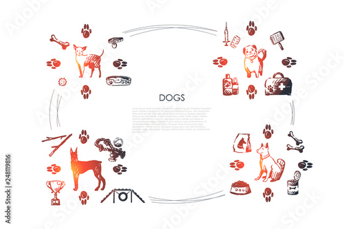Dogs - different dog breeds with food, bones, collar, footprints, bowl, vet objects vector concept set