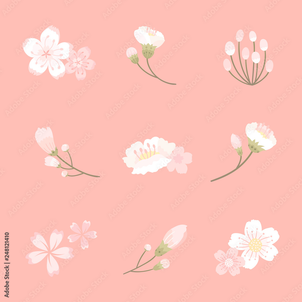 Cherry blossom background illustration Cherry blossom background illustration