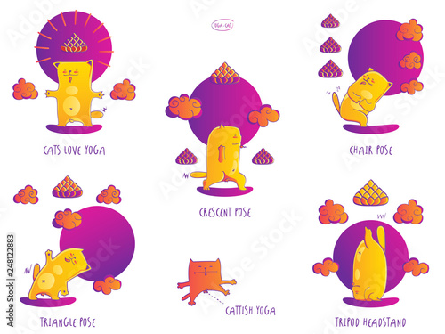 Cat in Yoga poses