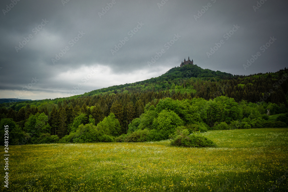 Castle hohenzollern schwaebische alb meadow hill forest