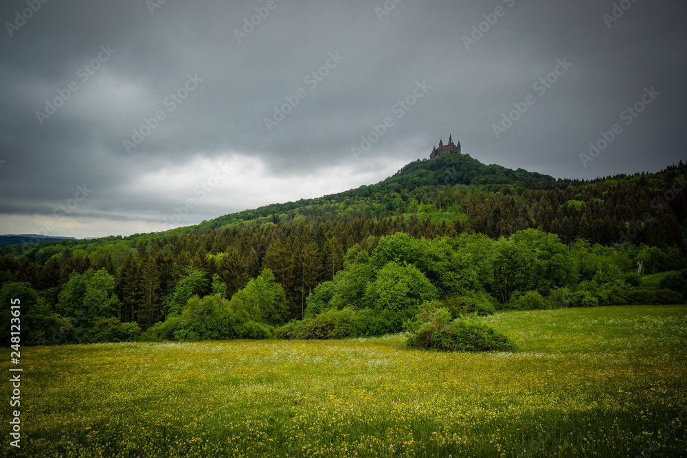 Castle hohenzollern schwaebische alb meadow hill forest Castle hohenzollern schwaebische alb meadow hill forest