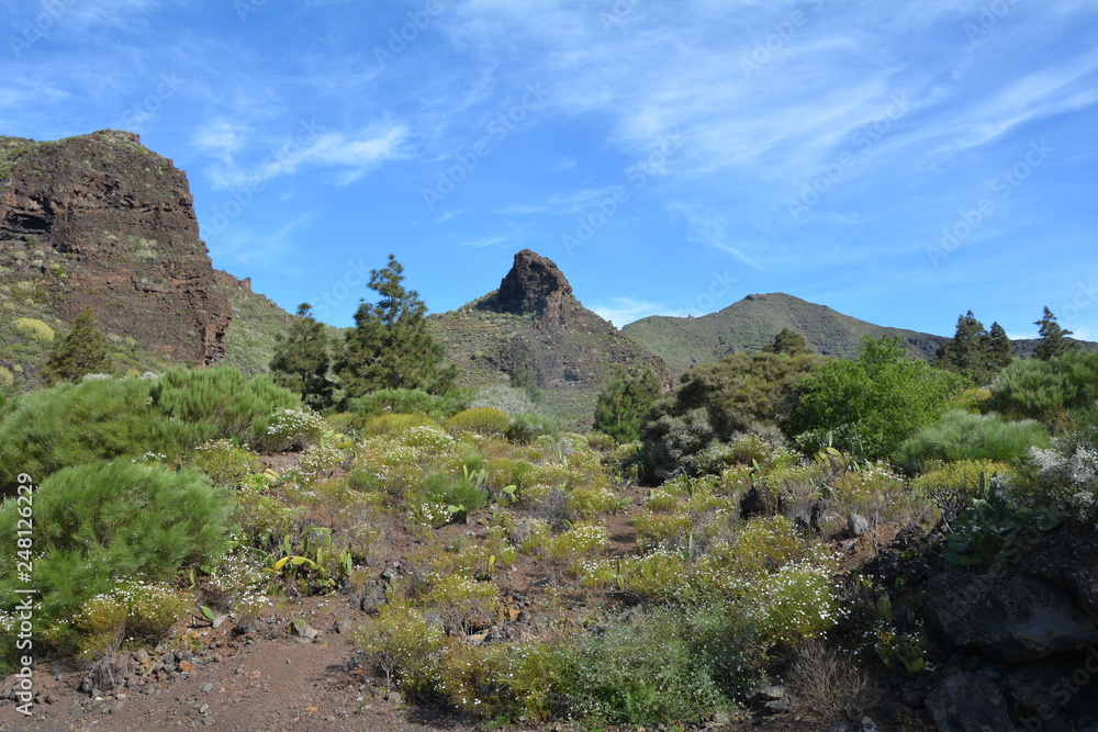 Tenerife, massif du Téno.