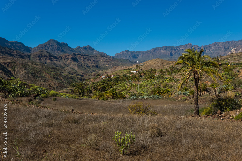 Canary islands gran canaria sunny day