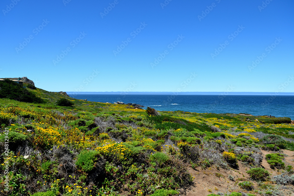 Beautiful landscape along the California State Route One. California, USA
