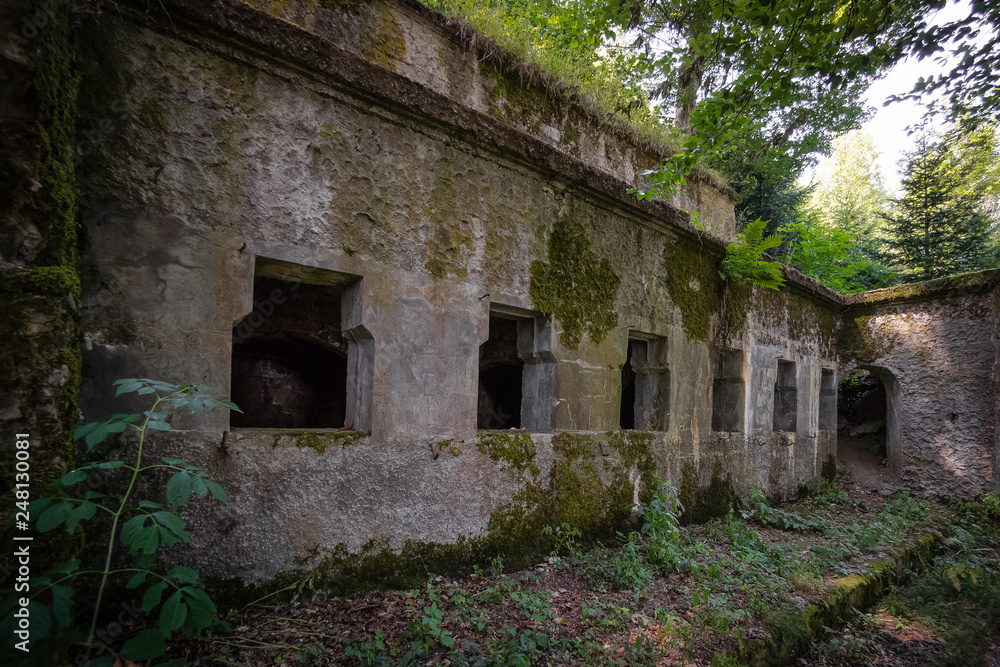 Alsace Mountain vogesen world war one memorial ruins