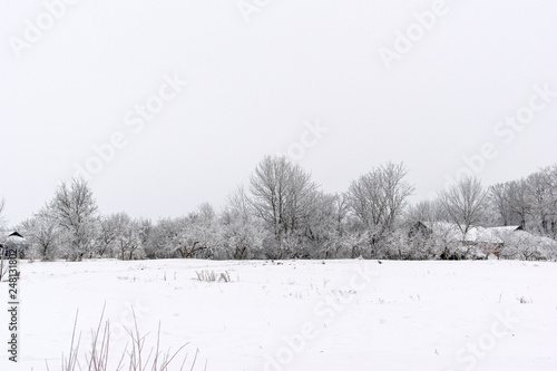 Winter weather. White snow covered the ground. copy space © Oleksandr Masnyi