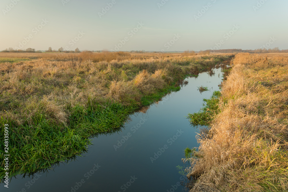 A small calm river with overgrown shores by the grass A small calm river with overgrown shores by the grass