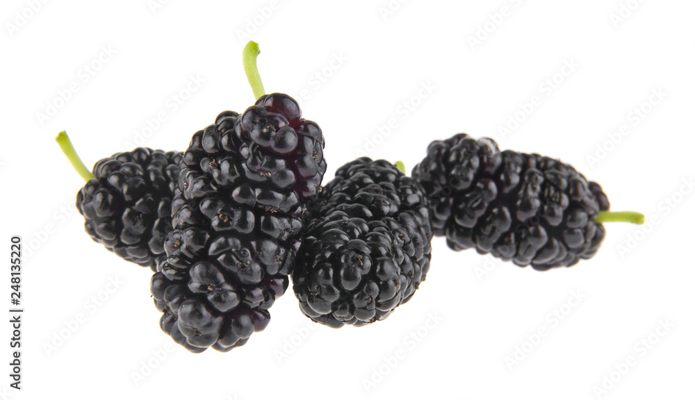 mulberries isolated on white background mulberries isolated on white background