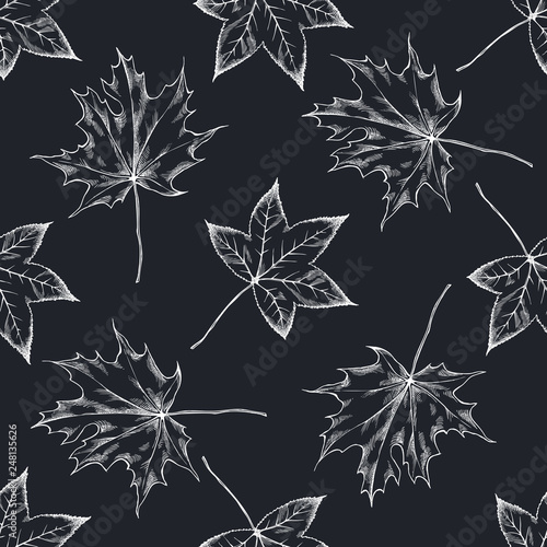 Seamless pattern with hand drawn chalk maple leaves