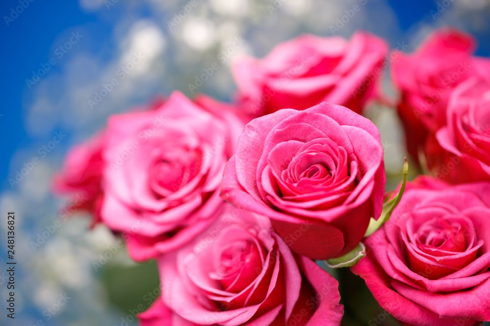 バラの花 バラの花